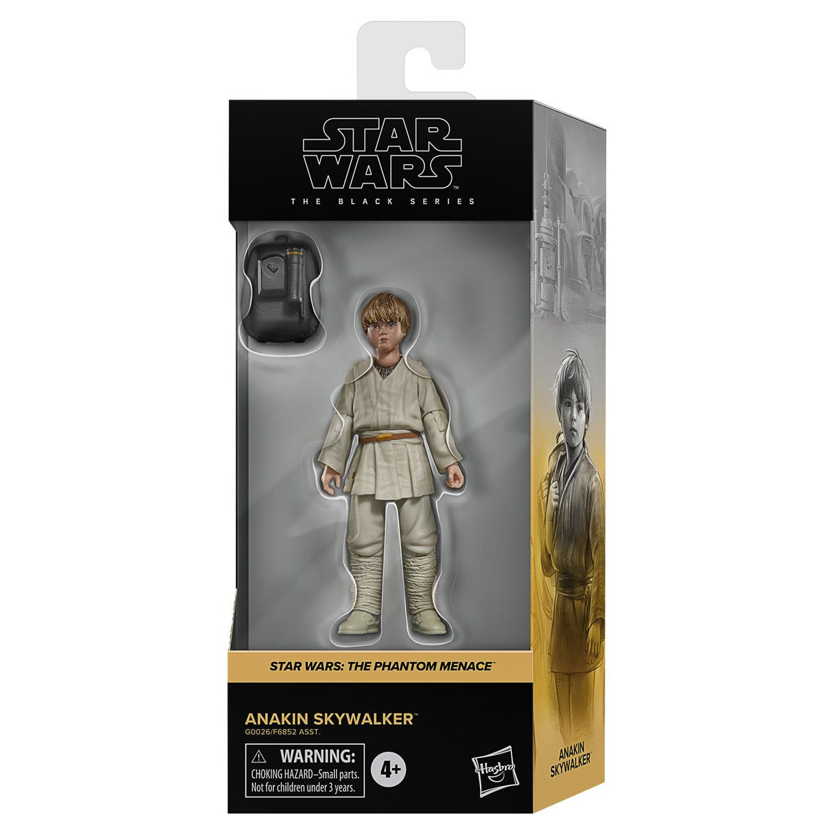 Star Wars The Black Series 2 Anakin & Padme Action Figures