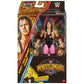 WWE 2025 WrestleMania Elite Action Figure Set of 4