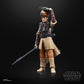 Star Wars Black Series Archive Leia Boushh 6 Inch Action Figure - Redshift7toys.com